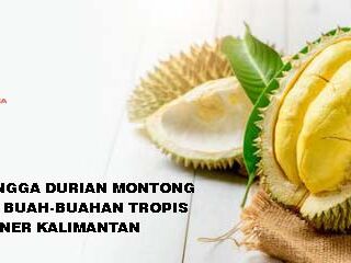 Rumbia Hingga Durian Montong: Mengenal Buah-Buahan Tropis dalam Kuliner Kalimantan