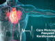 Menjaga Kesehatan Jantung: Cara Mencegah Penyakit Kardiovaskular